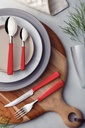 CUCHARAS DE MESA TRAMONTINA 23163/970 NEW KOLOR 12PZS ROJO